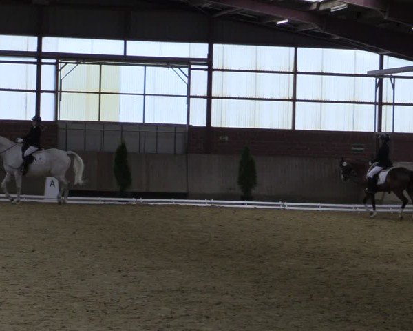 Reitturnier Ostenfelde-Vornholz 2025