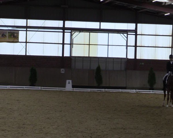 Reitturnier Ostenfelde-Vornholz 2025