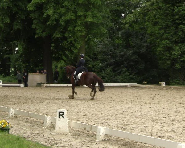 Reitturnier Königsborn 2025