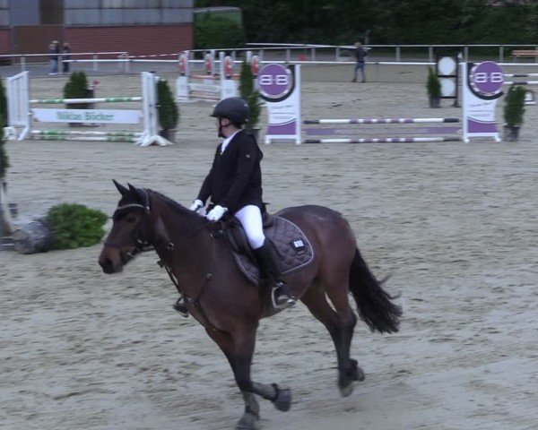 Reitturnier Ostenfelde-Vornholz 2025