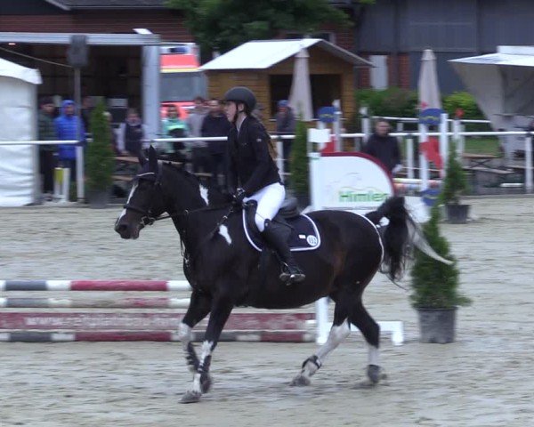 Reitturnier Ostenfelde-Vornholz 2025