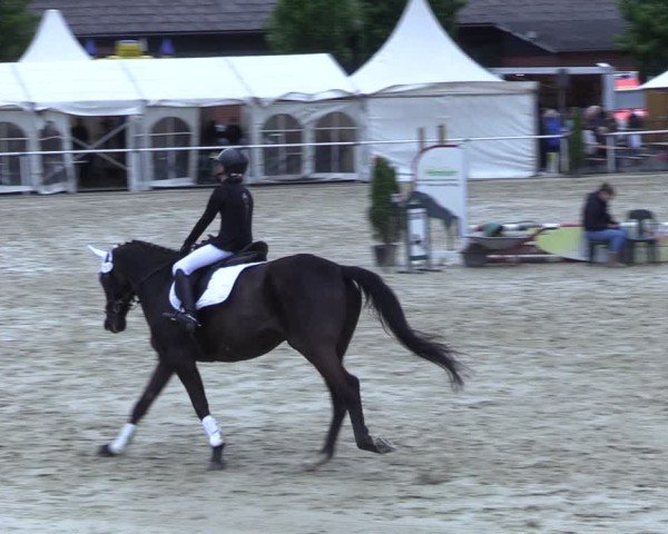 Reitturnier Ostenfelde-Vornholz 2025