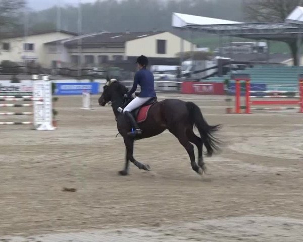 Balve-Wocklum Regio 2014