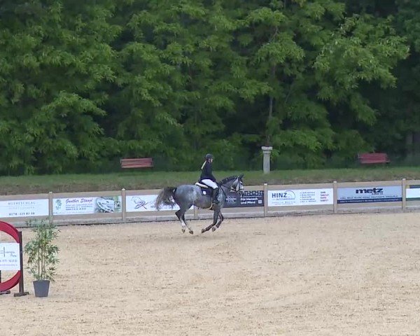 Reitturnier Tiefenhof/Opf. 2025