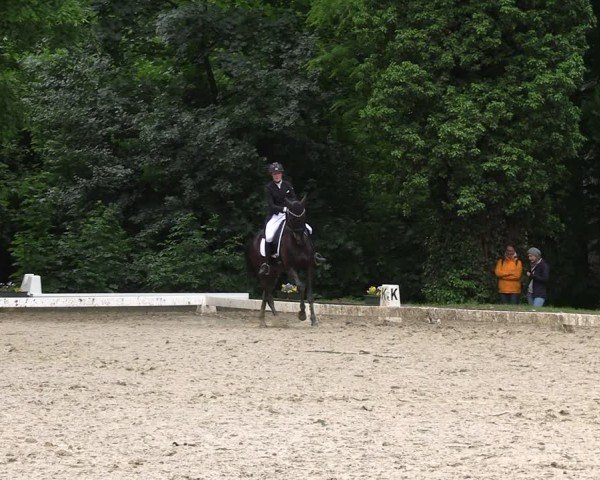 Reitturnier Königsborn 2025