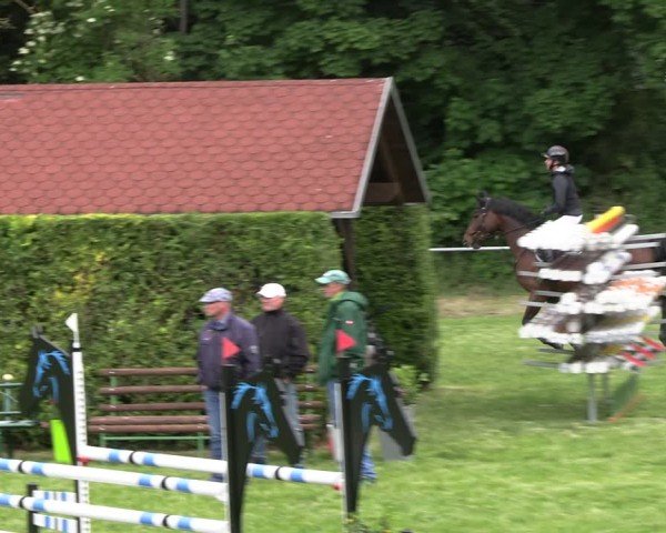 Reitturnier Königsborn 2025