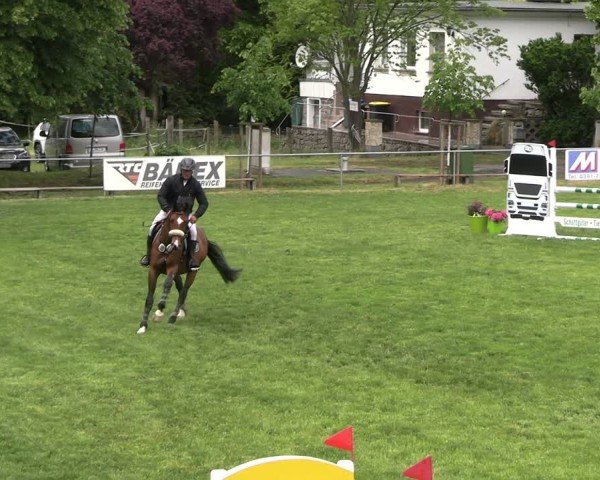 Reitturnier Königsborn 2025