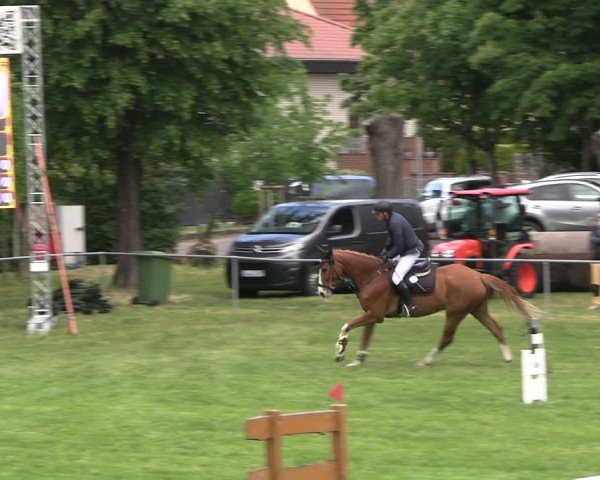 Reitturnier Königsborn 2025
