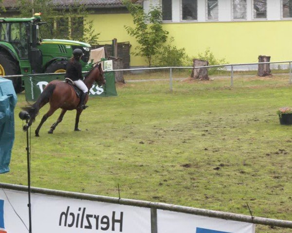 Reitturnier Kakerbeck 2025