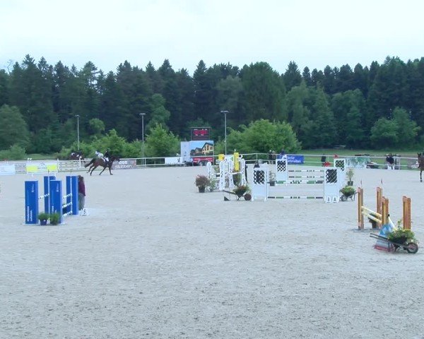Reitturnier Meilen 2025