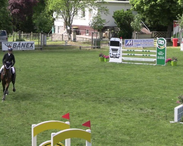 Reitturnier Königsborn 2025