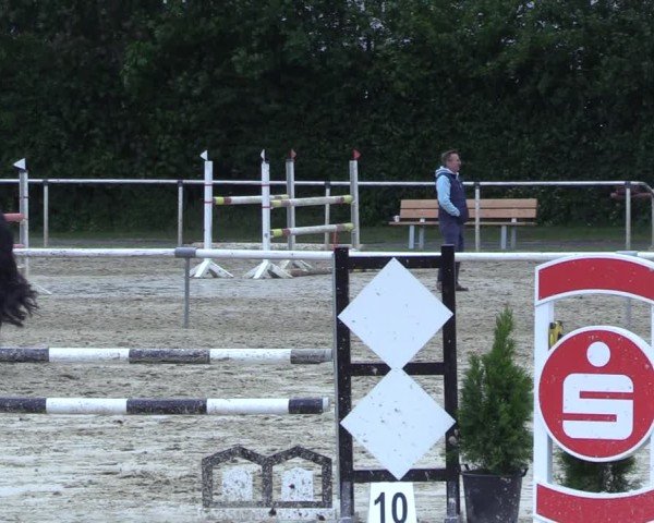 Reitturnier Ostenfelde-Vornholz 2025