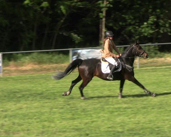 Reitturnier Königsborn 2025