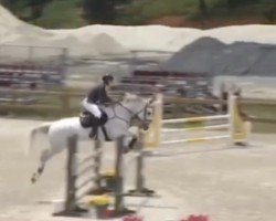 jumper Diaboska de La Falize (Belgium Sporthorse, 2009, from Diabeau)