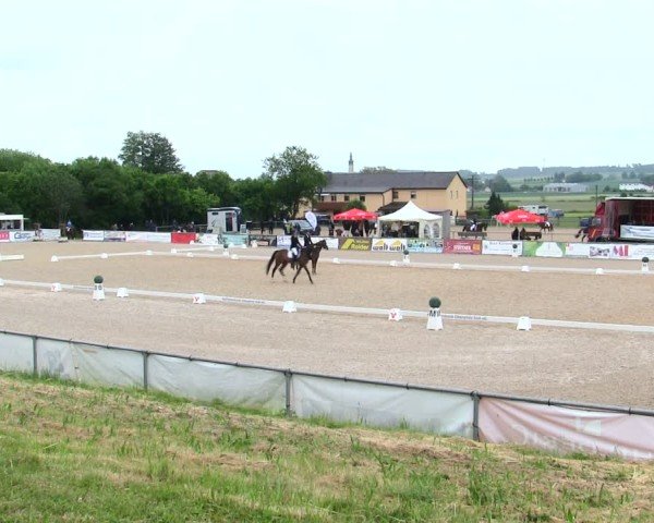 Reitturnier Mallersdorf-Pfaffenberg/Ndb. 2025