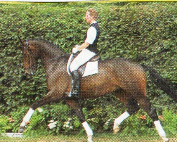 Hest Elton John 4 (Westfalere, 1991, fra Ehrentusch)