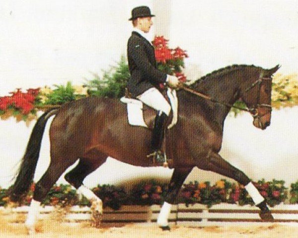 horse Filmrevue (Oldenburg, 1989, from Futuro)