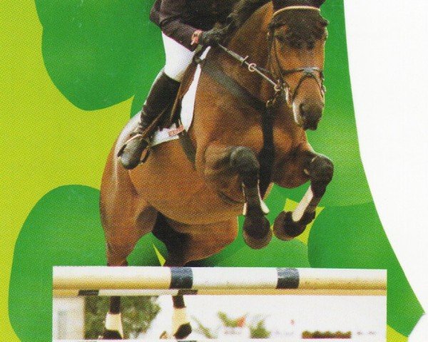 jumper Lamborghini 13 (Westphalian, 1983, from Loewenstein)