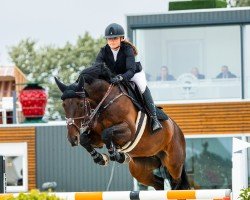broodmare Diadoria (Hanoverian, 2015, from Diarado)