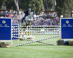 jumper Lena VDL (KWPN (Royal Dutch Sporthorse), 2016, from Carrera VDL)