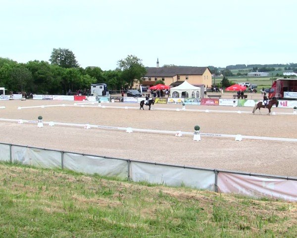Reitturnier Mallersdorf-Pfaffenberg/Ndb. 2025