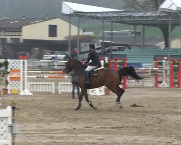 Balve-Wocklum Regio 2014