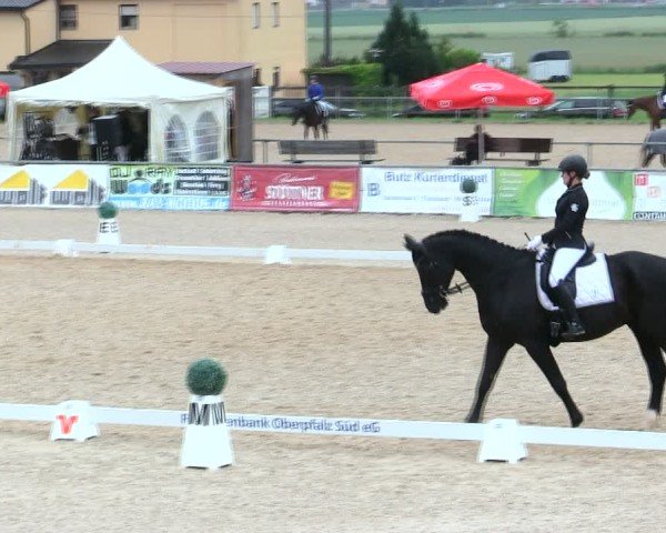 Reitturnier Mallersdorf-Pfaffenberg/Ndb. 2025