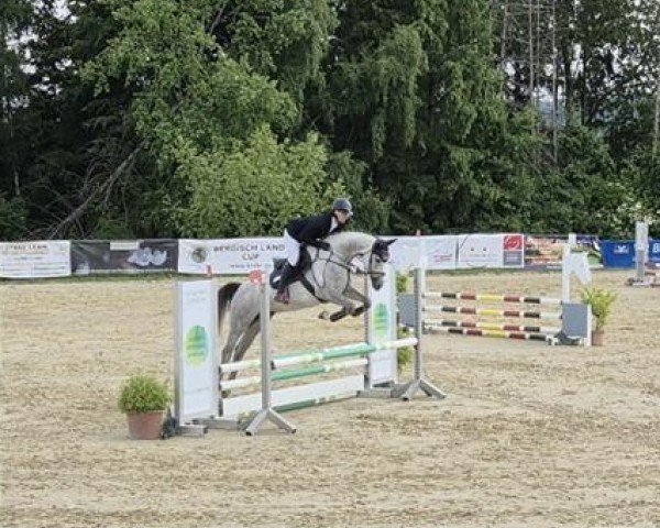 jumper Mina 38 (Oldenburg show jumper, 2020, from Dakar VDL)
