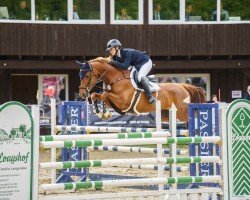 jumper Dia Bellini (Westphalian, 2018, from Diathago)