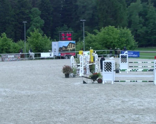 Reitturnier Meilen 2025