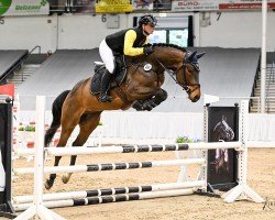jumper Calicos PJ (Hanoverian, 2021, from Calido I)