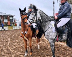jumper Carla (Mecklenburg, 2019, from Cellestial)