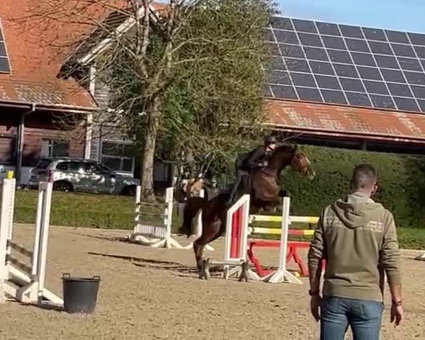 Video of Ornella Vh