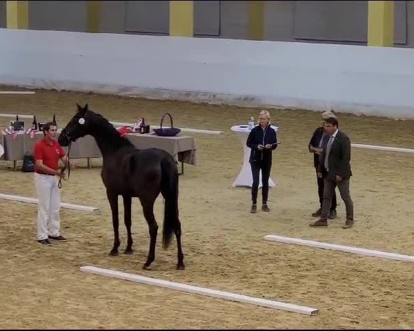 Video of Waleska 8