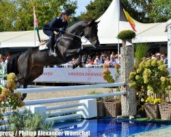 stallion Nucaro (Westphalian, 2012, from Numero Uno)