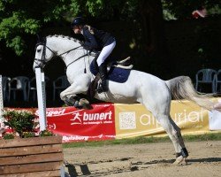 jumper California 156 (Zangersheide riding horse, 2017, from Cabrio van de Heffinck)