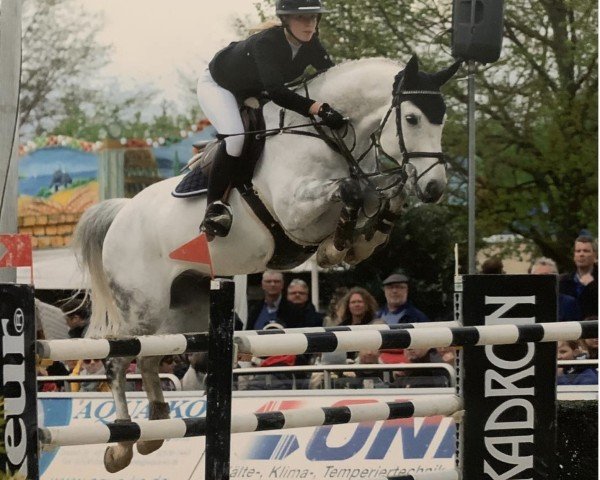 jumper Caitano 34 (Hanoverian, 2010, from Contagio)