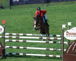 jumper Call Me Campino (German Riding Pony, 2006, from Charm of Nibelungen)