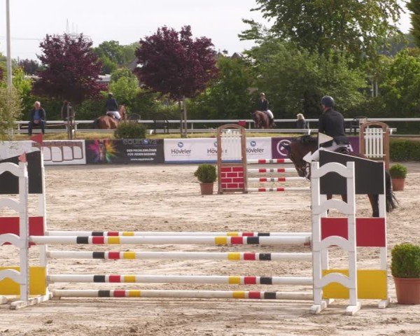 Reitturnier Bornheim-Widdig 2025