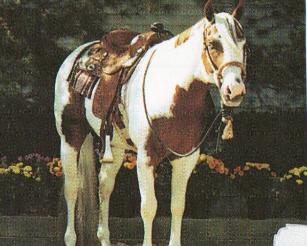 horse Zippos Cactus Jack (Paint Horse, 1994, from Paint Me Zippo)