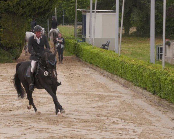 Reitturnier Bornheim-Widdig 2025