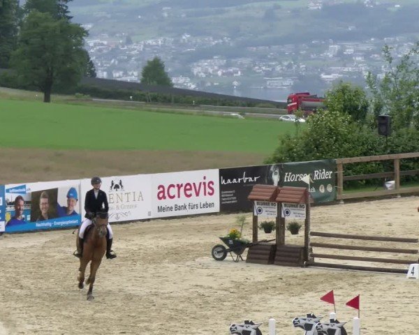 Reitturnier Wädenswil 2025