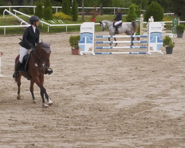 Reitturnier Bornheim-Widdig 2025