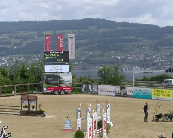 Reitturnier Wädenswil 2025