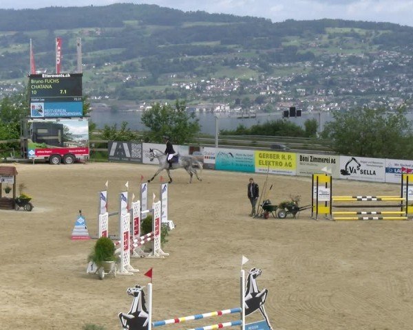 Reitturnier Wädenswil 2025
