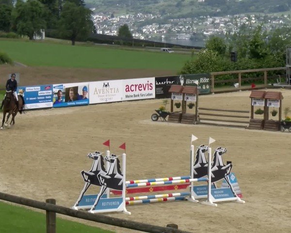 Reitturnier Wädenswil 2025
