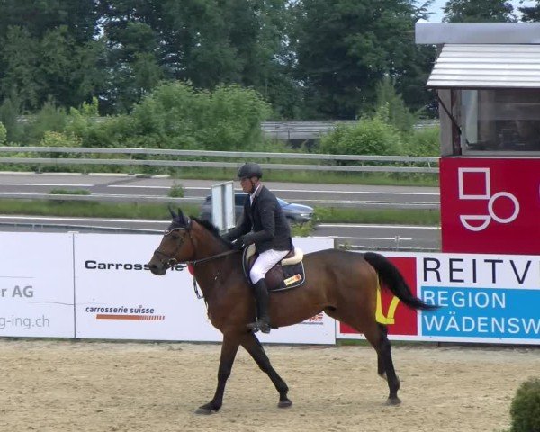 Reitturnier Wädenswil 2025