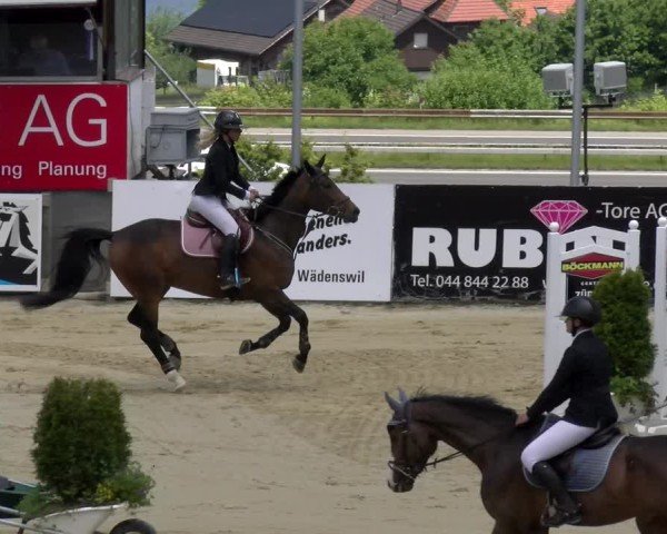 Reitturnier Wädenswil 2025