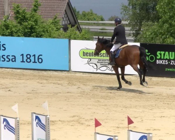 Reitturnier Wädenswil 2025