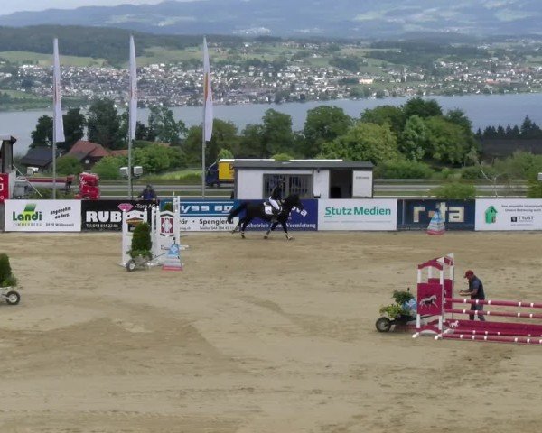 Reitturnier Wädenswil 2025